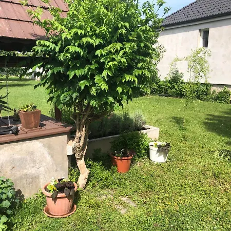 Elvira Vendeghaz Apartmán Kisbodak