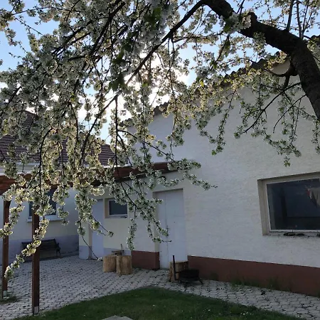 Apartmán Elvira Vendeghaz Kisbodak