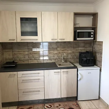 Elvira Vendeghaz Apartment *