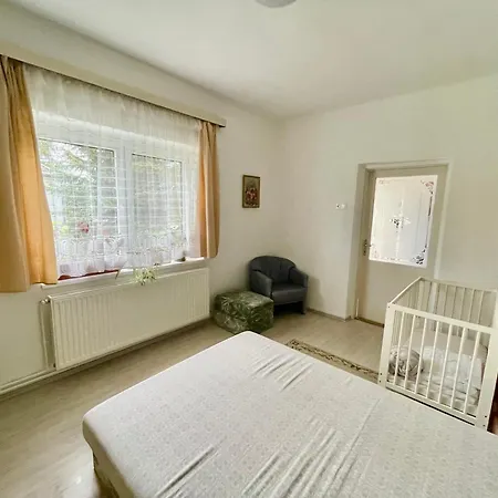Apartment Elvira Vendeghaz Kisbodak