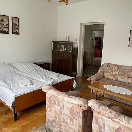 Apartment Elvira Vendeghaz Kisbodak